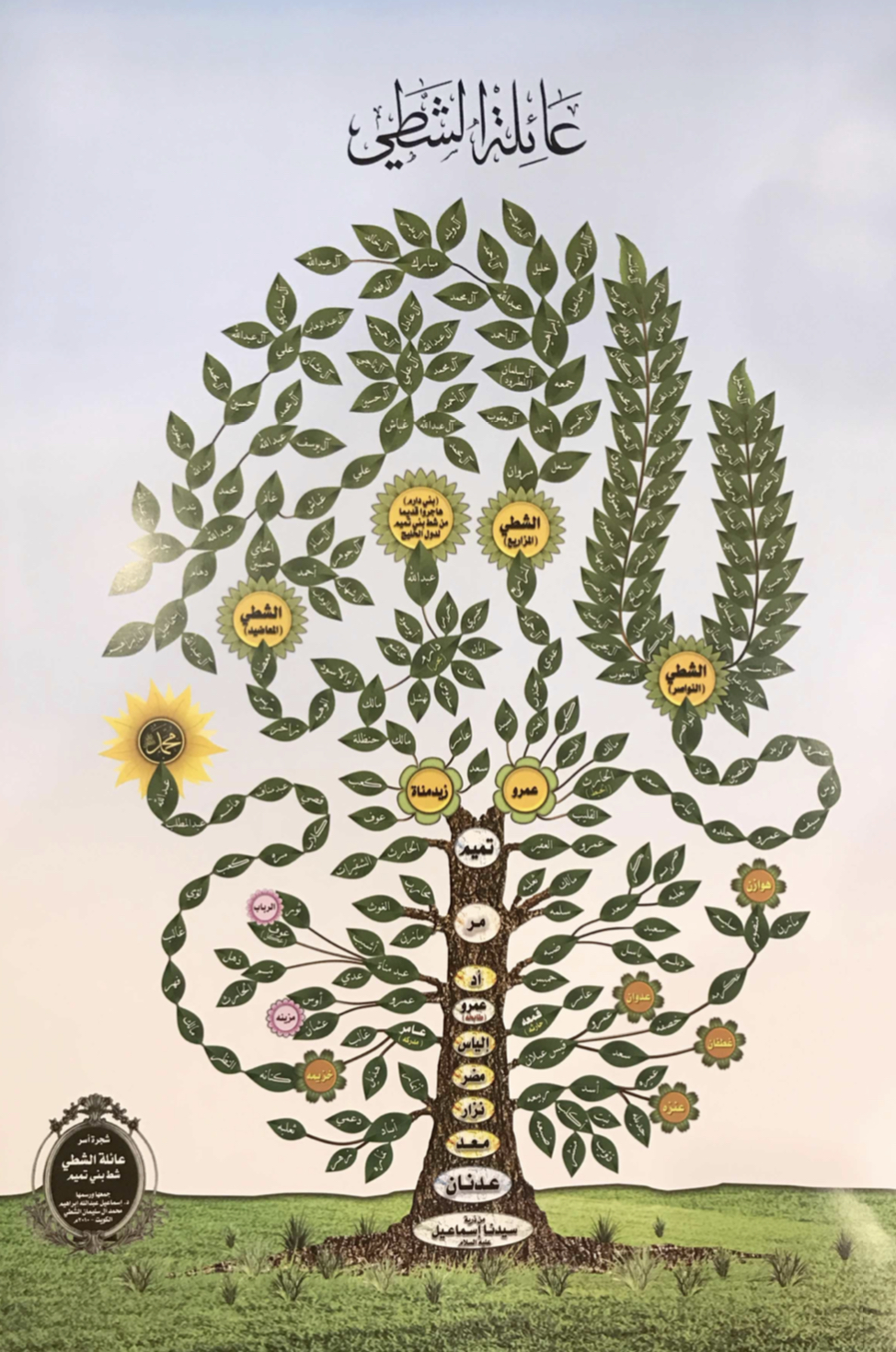 family tree